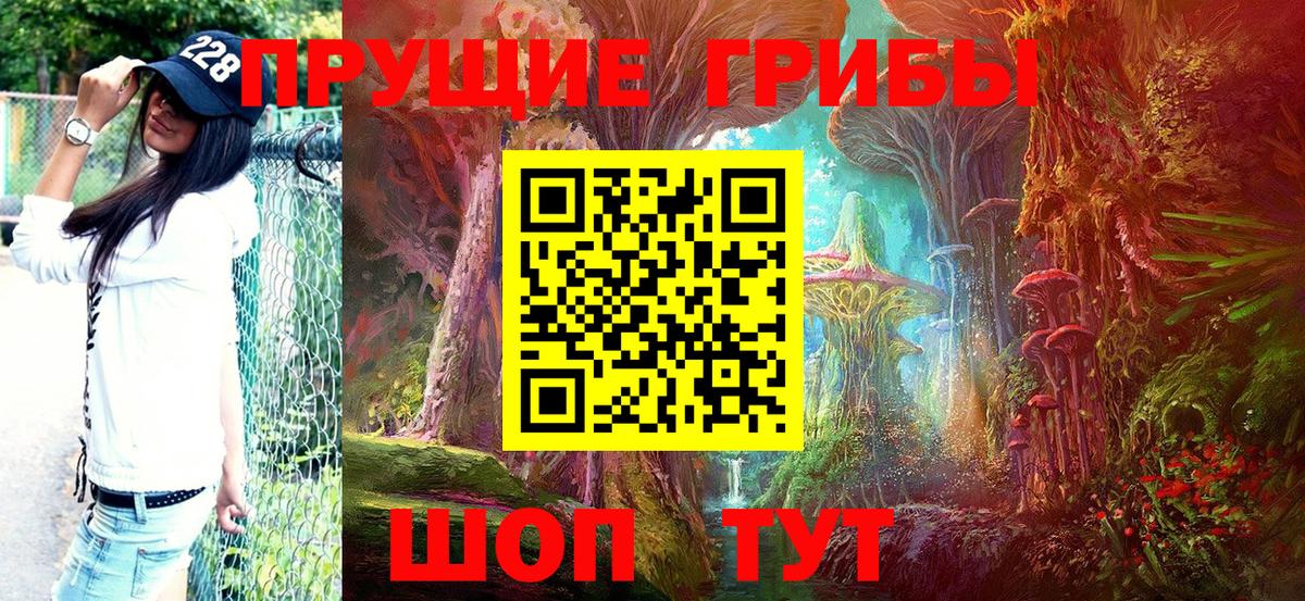 Галлюциногенные грибы GOLDEN TEACHER  Вход с VPN  Черняховск 
